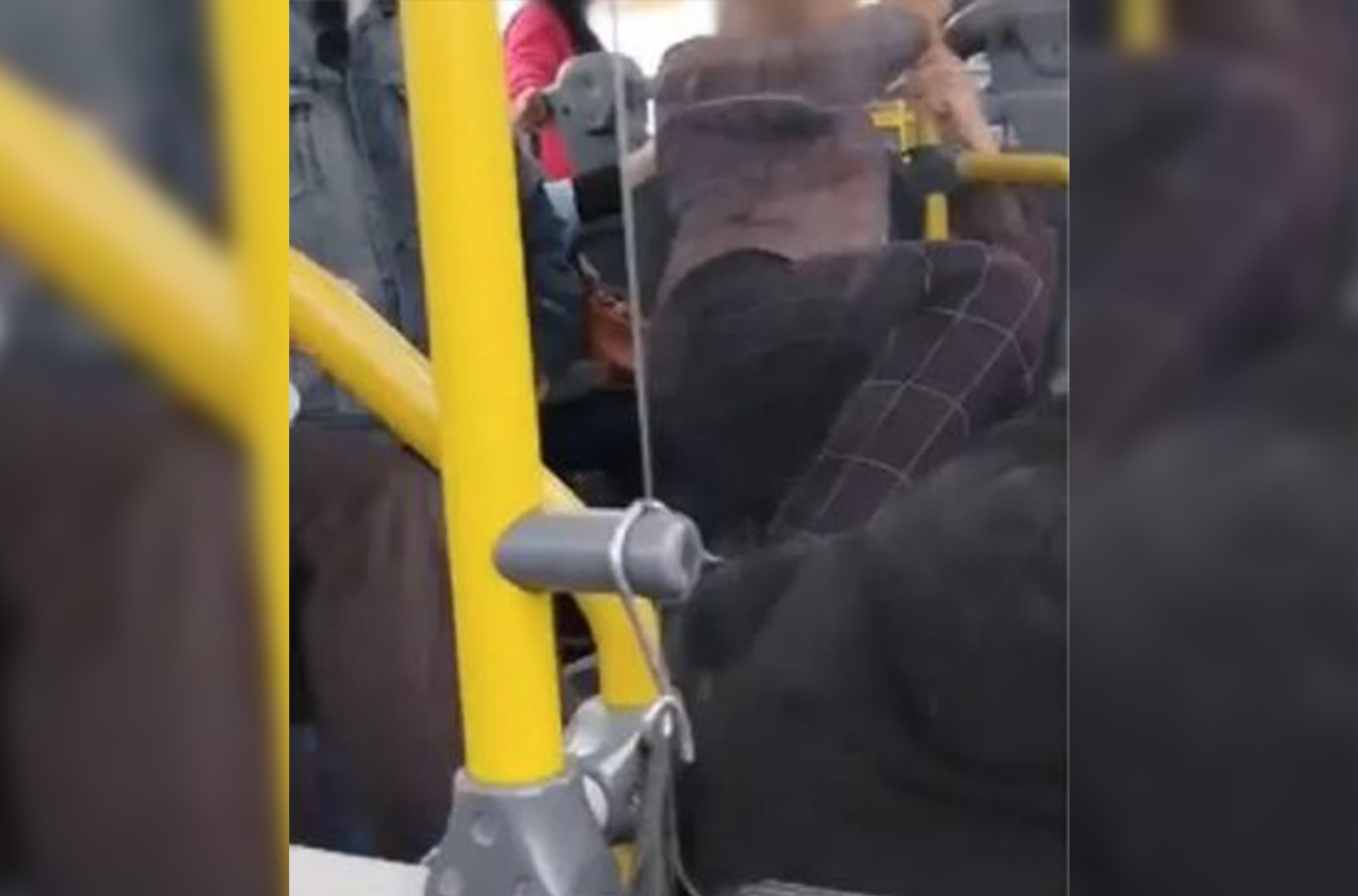 Homem é agredido após importunação sexual em ônibus de SP