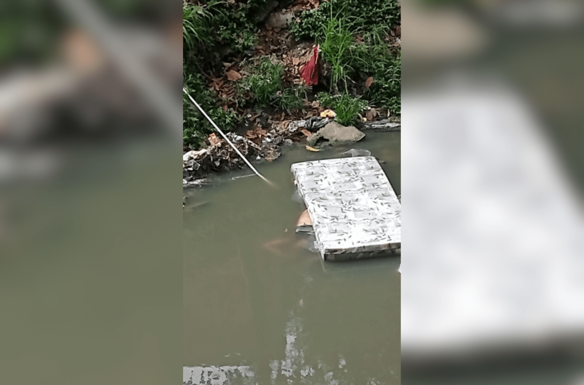 Partes do corpo de uma mulher são encontradas às margens de um córrego em Guarulhos