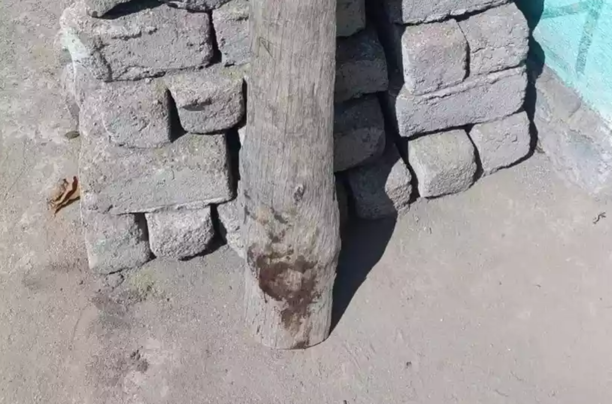 Suspeitos de matar idoso a pauladas são presos preventivamente