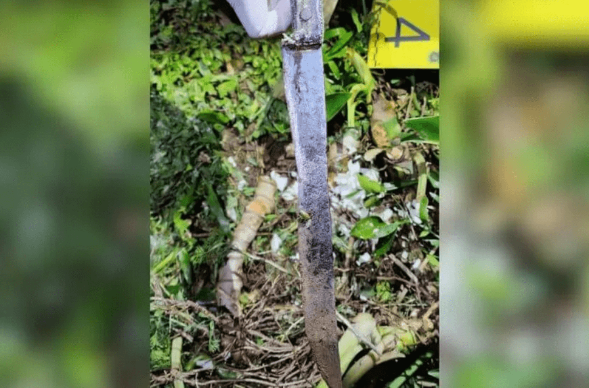 Imagem ilustra a arma do crime