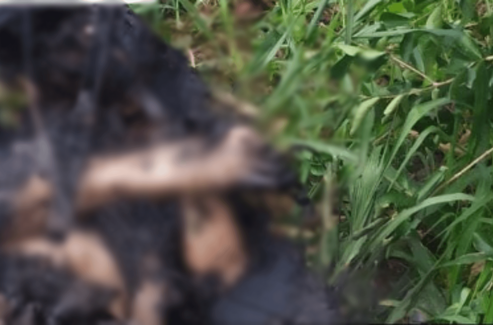 Imagem ilustra corpo encontrado.