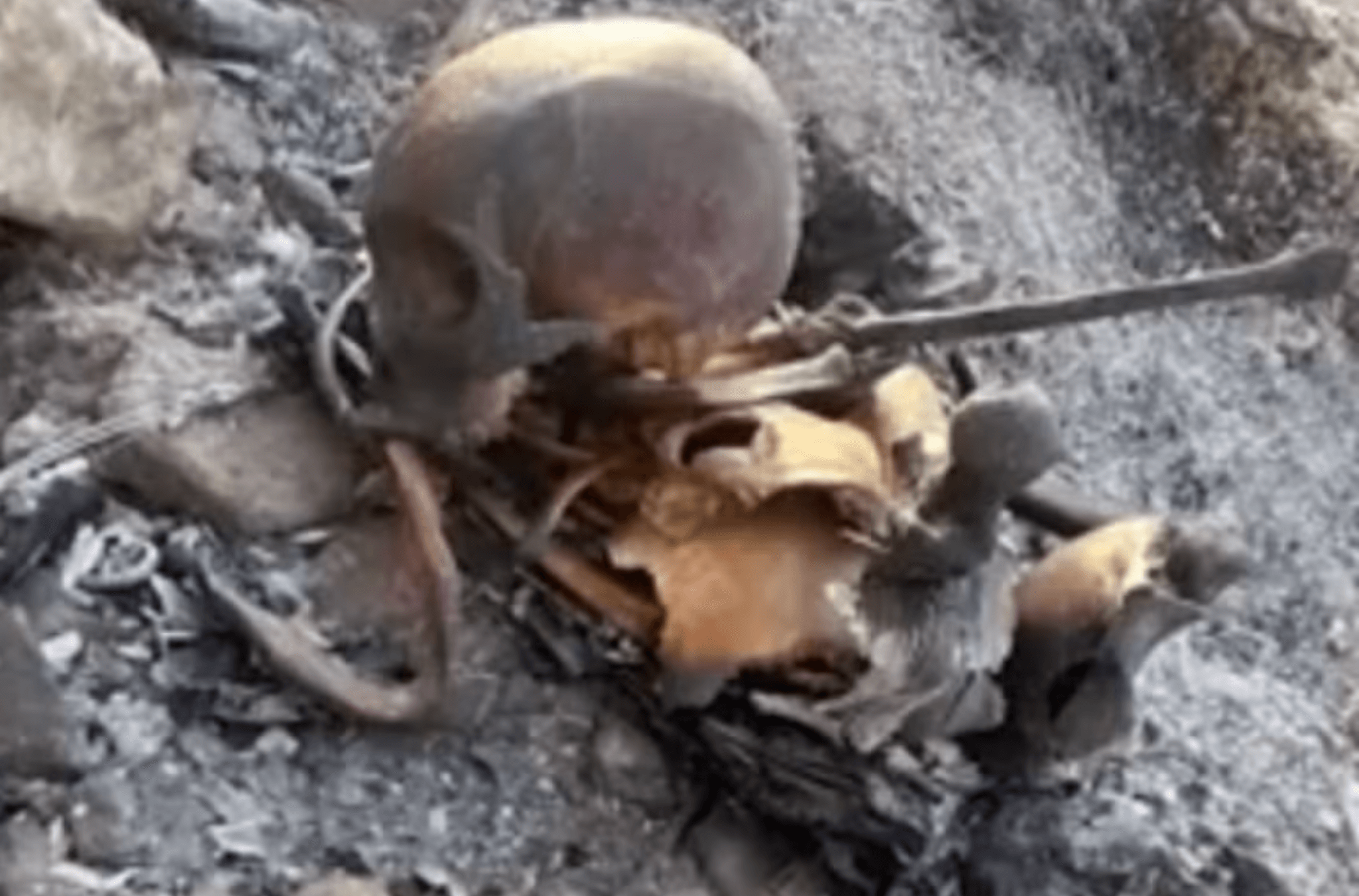 Populares encontram ossada humana em terreno após queimada controlada