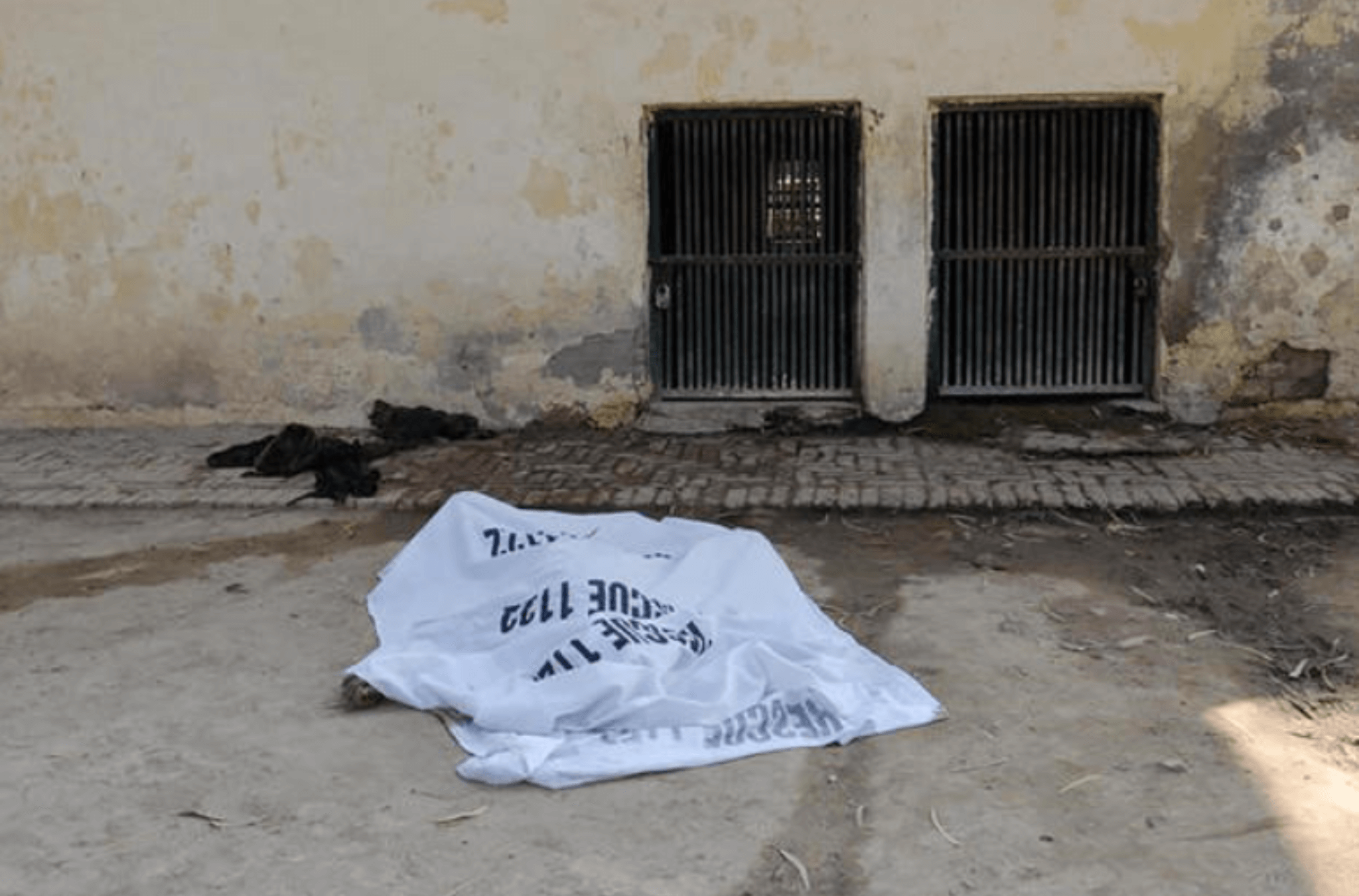 Imagem ilustra um corpo.