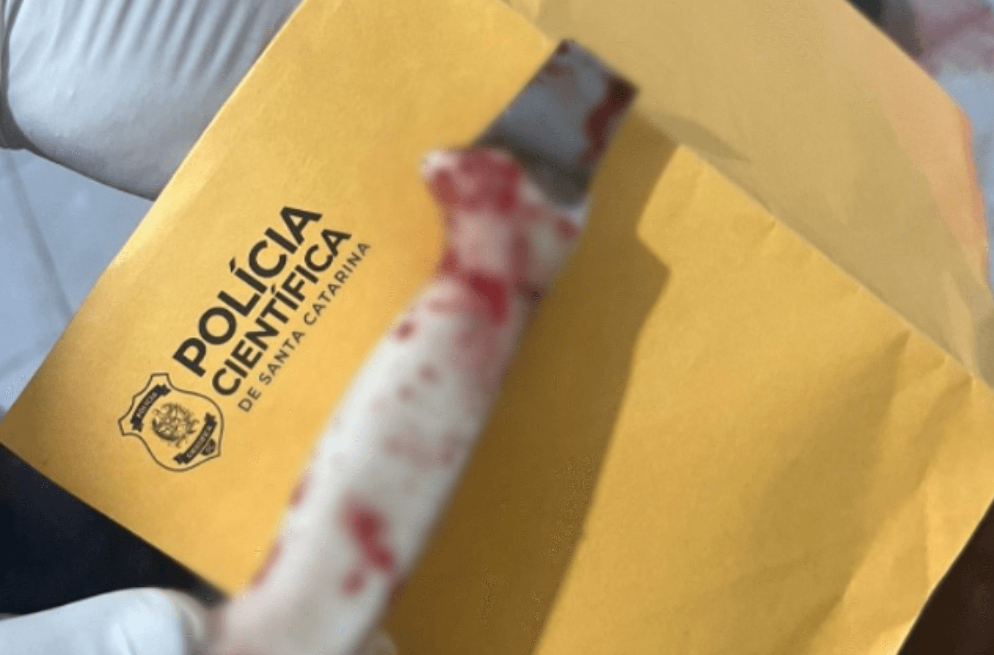Imagem ilustra a faca do crime.