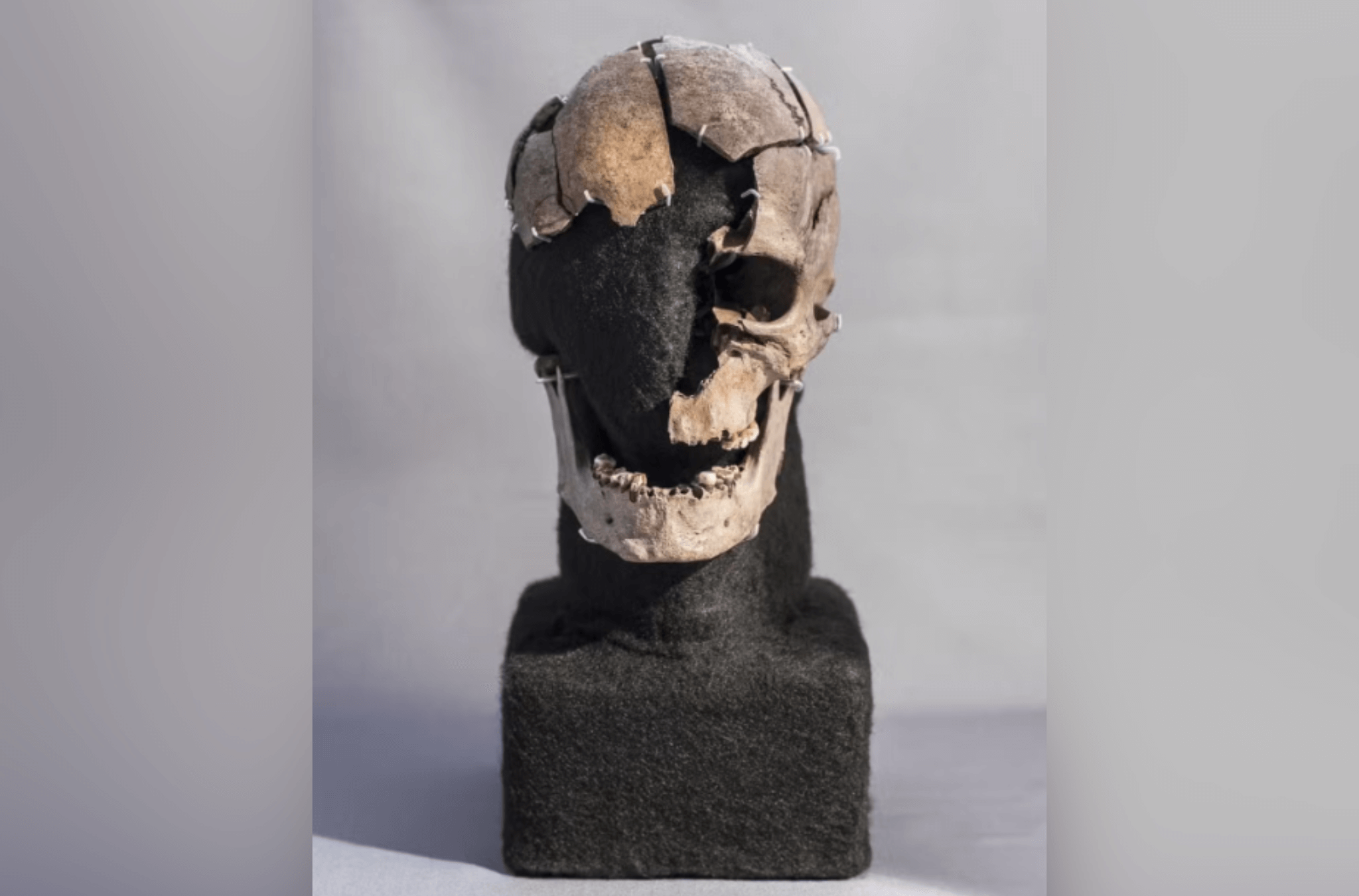 Imagem ilustra os restos mortais do Homem de Vittrup