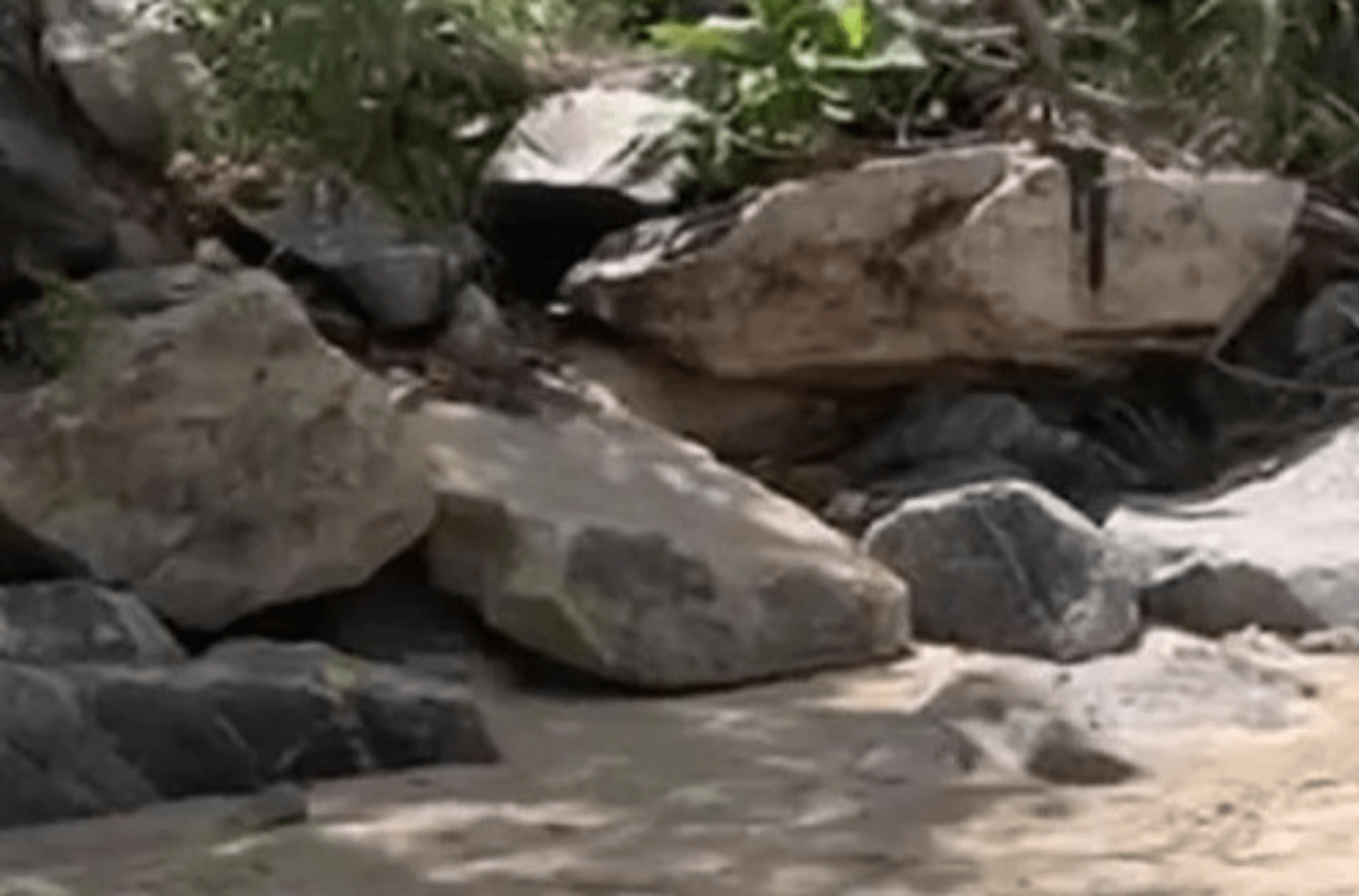 Imagem ilustra local onde o corpo foi encontrado