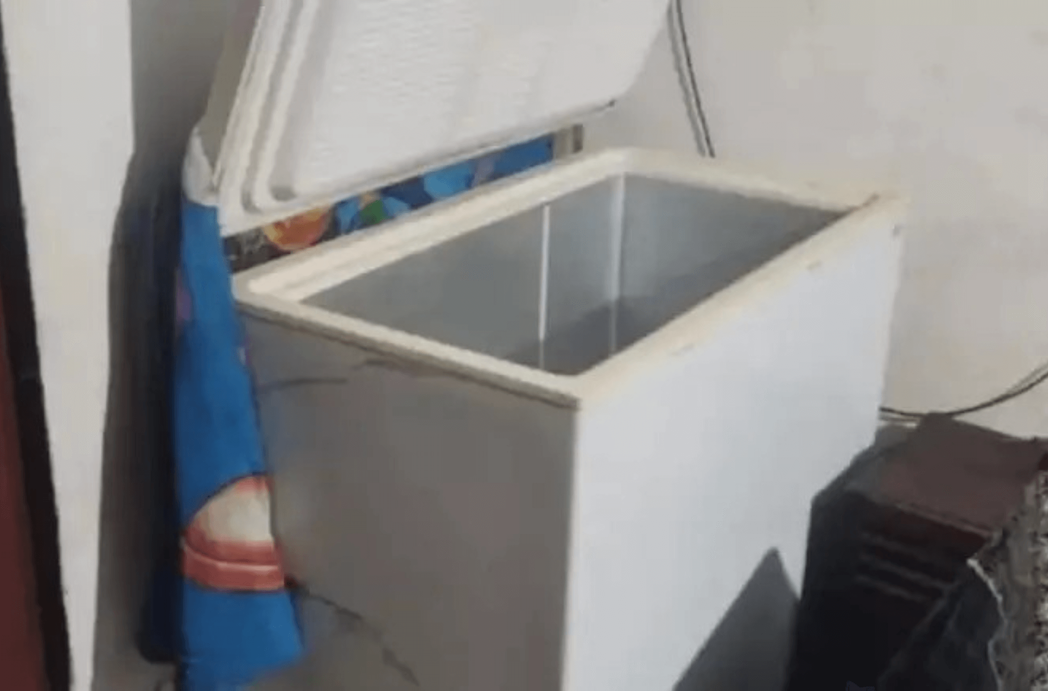 Imagem ilustra o freezer