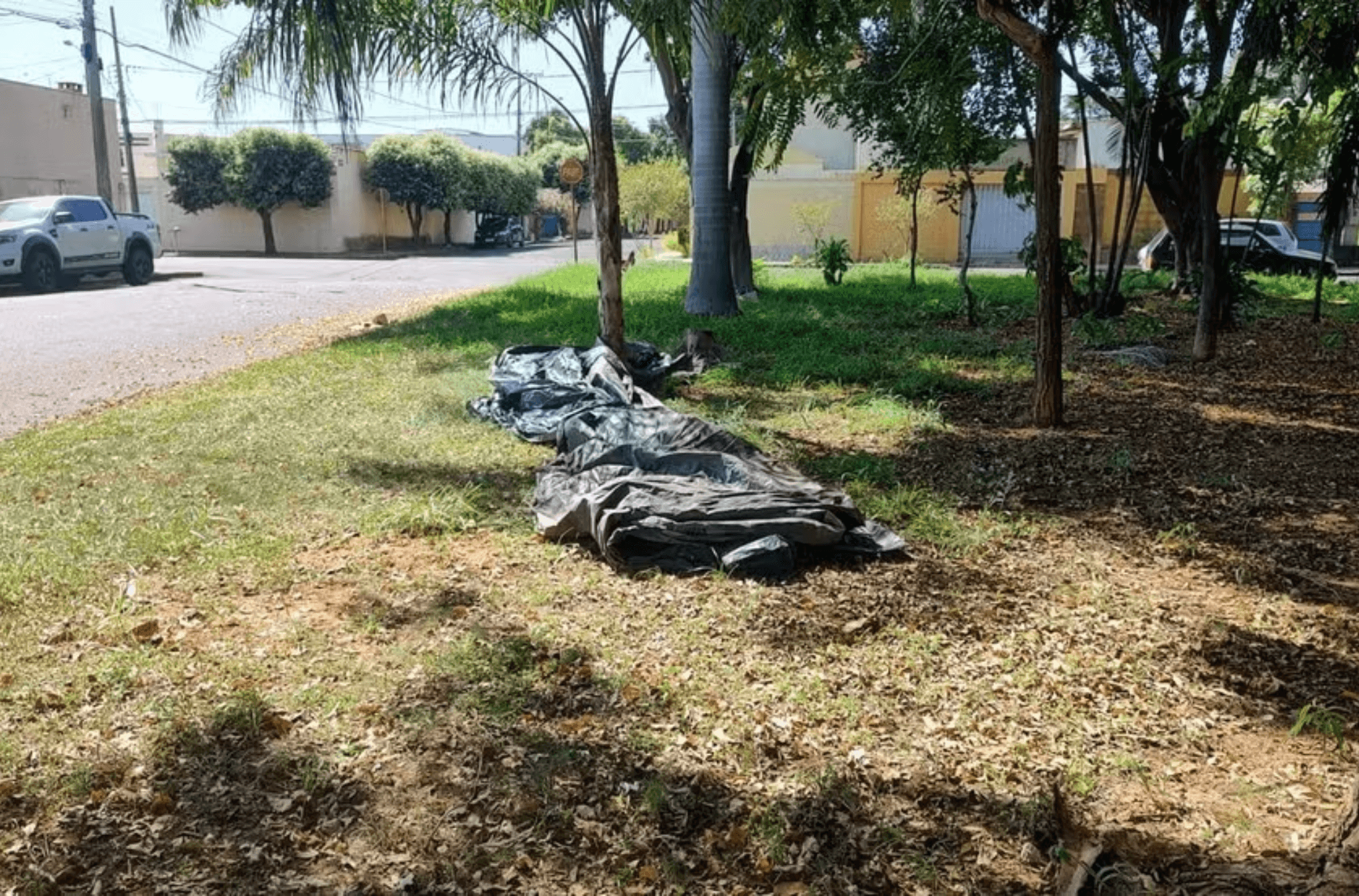 Imagem ilustra o corpo