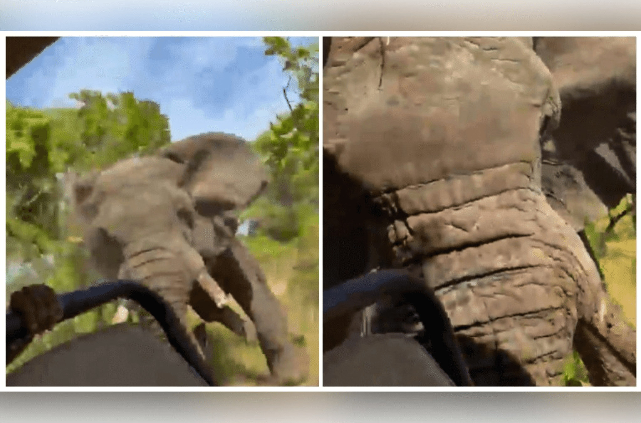 Ilustra as imagens do vídeo do ataque