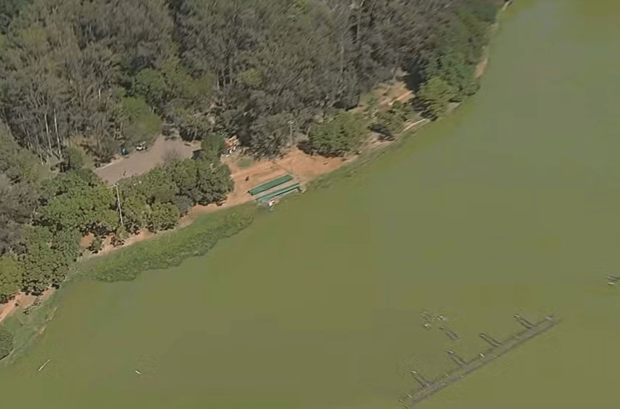 Imagem ilustra o lago do Ibirapuera