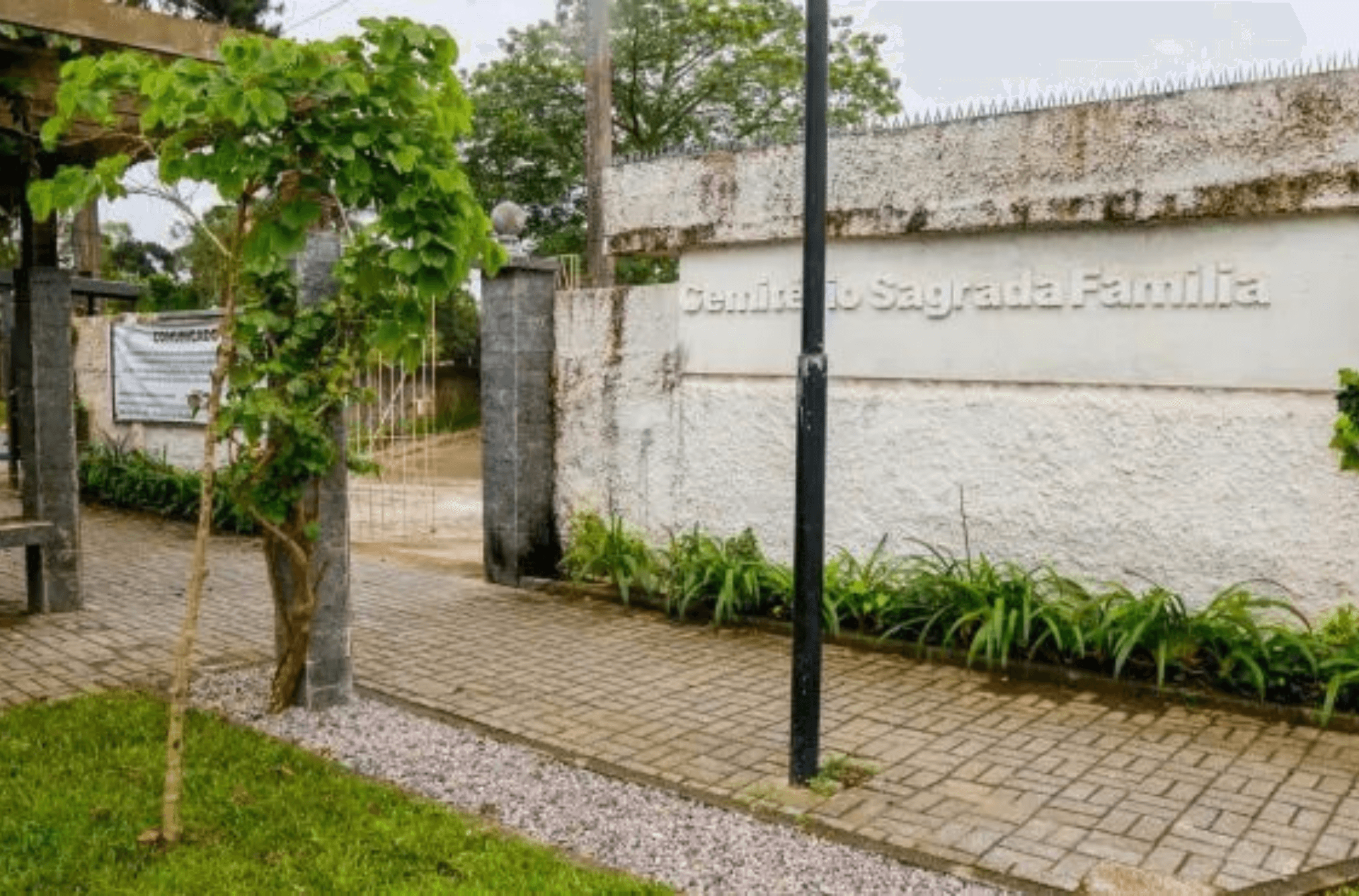 Adolescentes gravam vídeo mexendo em cadáver desenterrado