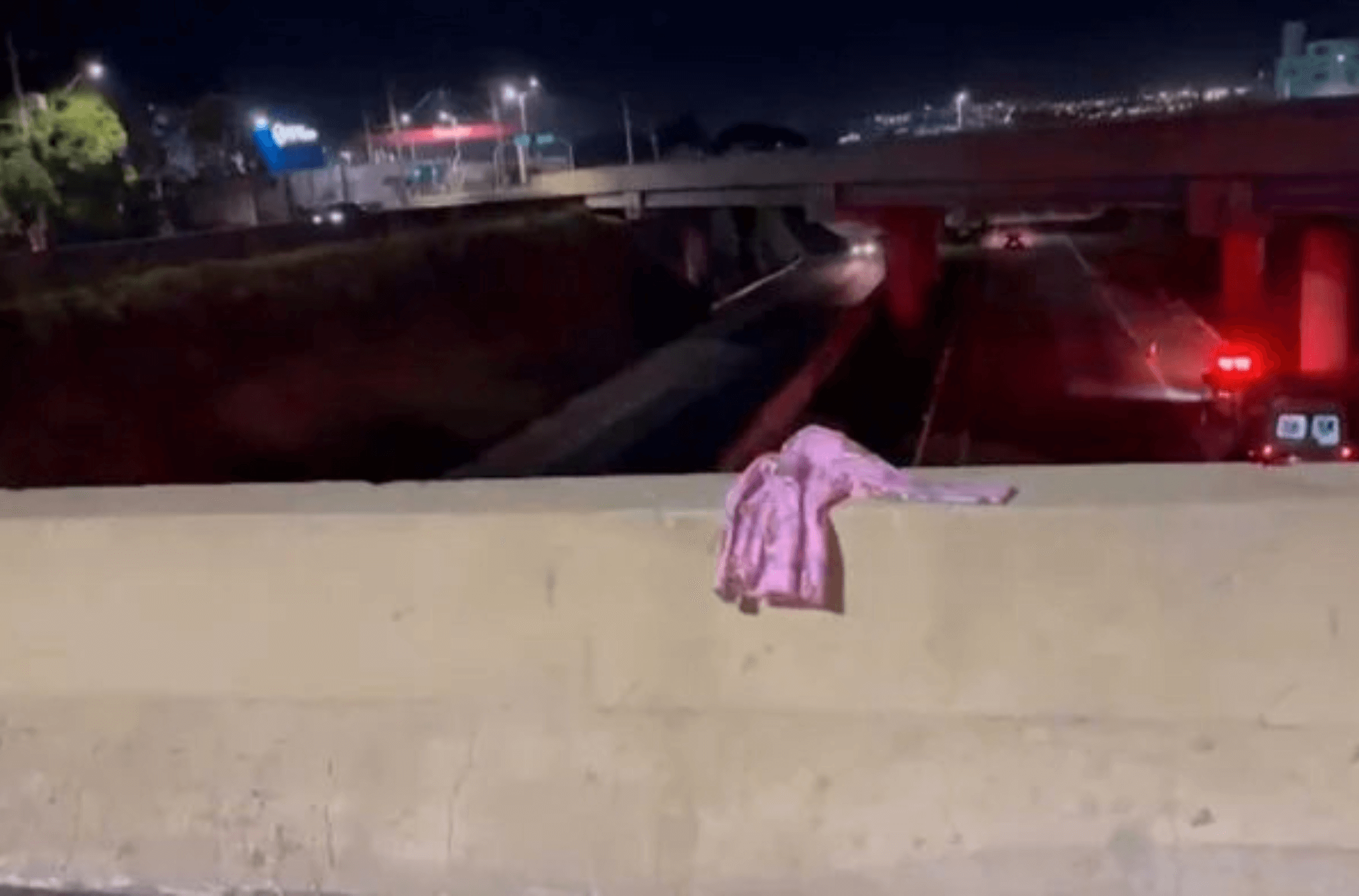 Homem salta de viaduto com menina de 4 anos no colo