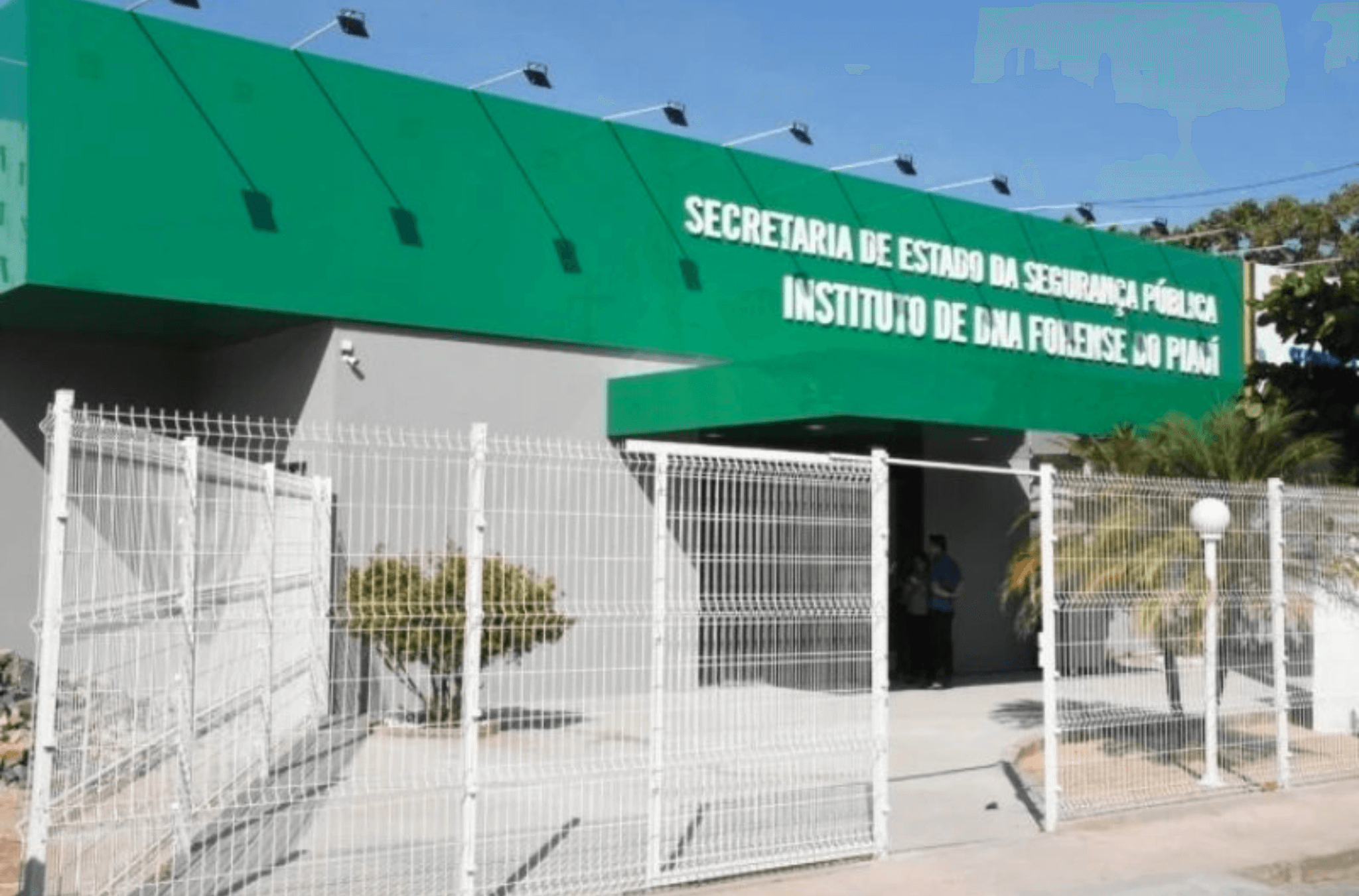 Ossada encontrada no Piauí é de idosa assassinada e incendiada