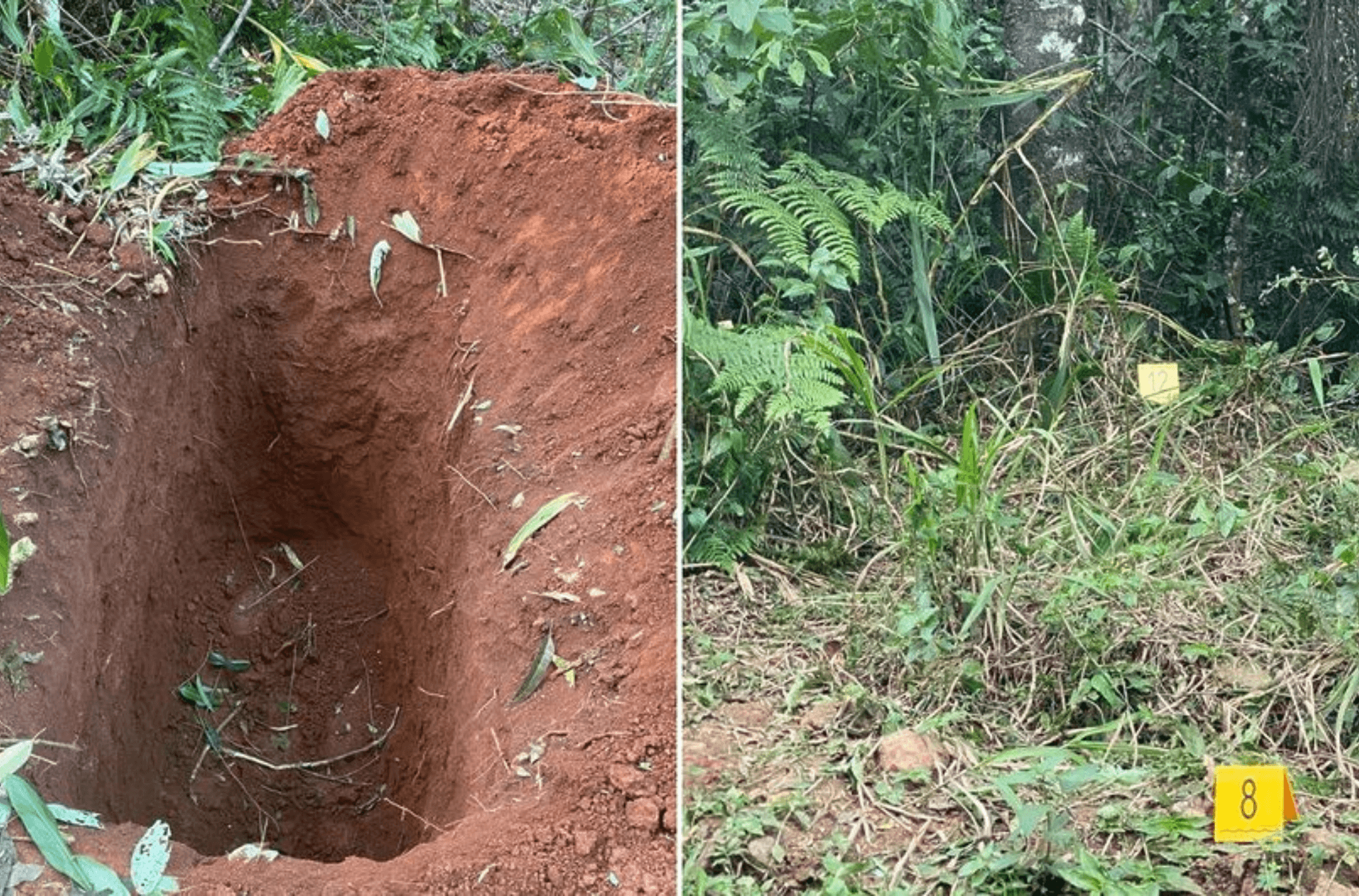 Imagem ilustra a cova