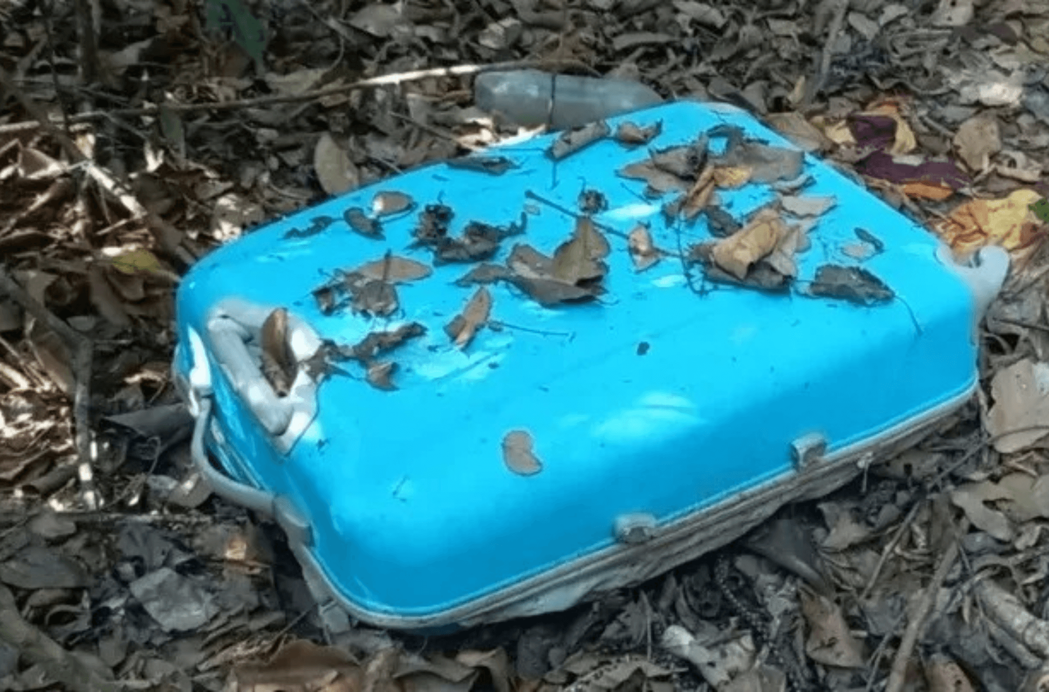 Homem mata esposa e se passa por ela durante 40 dias