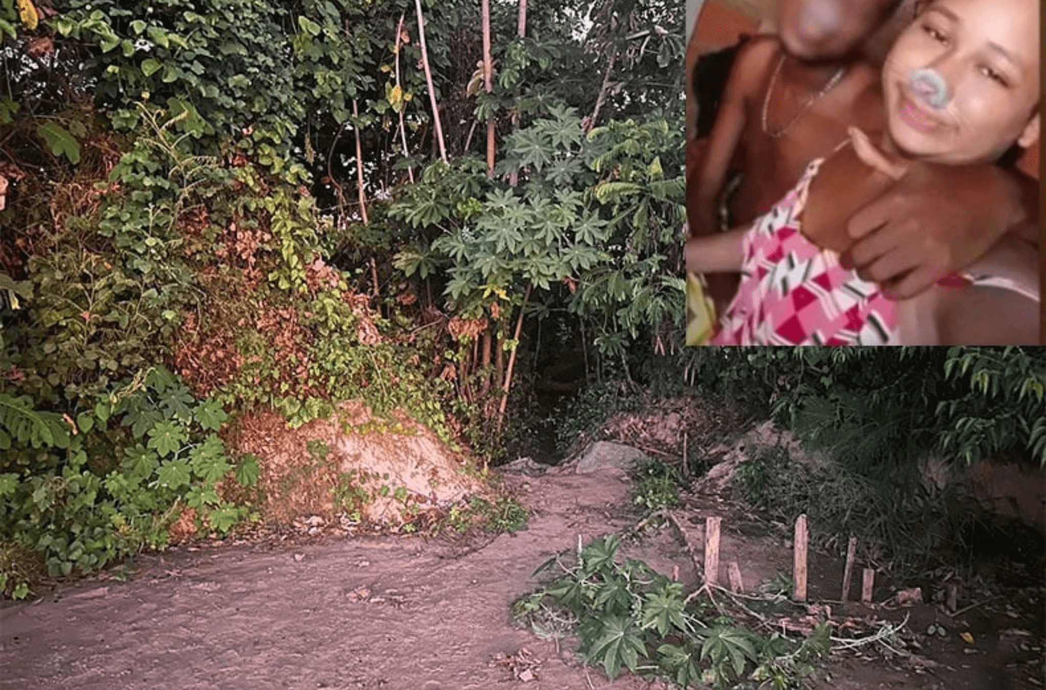 Jovem que confessou esquartejamento é solto por omissão do MP