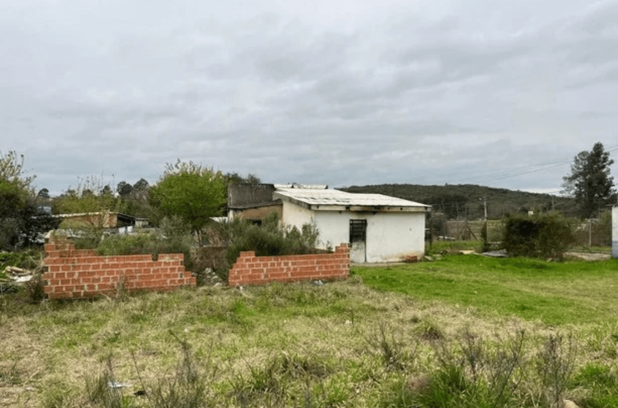 Adolescente esquarteja namorada trans