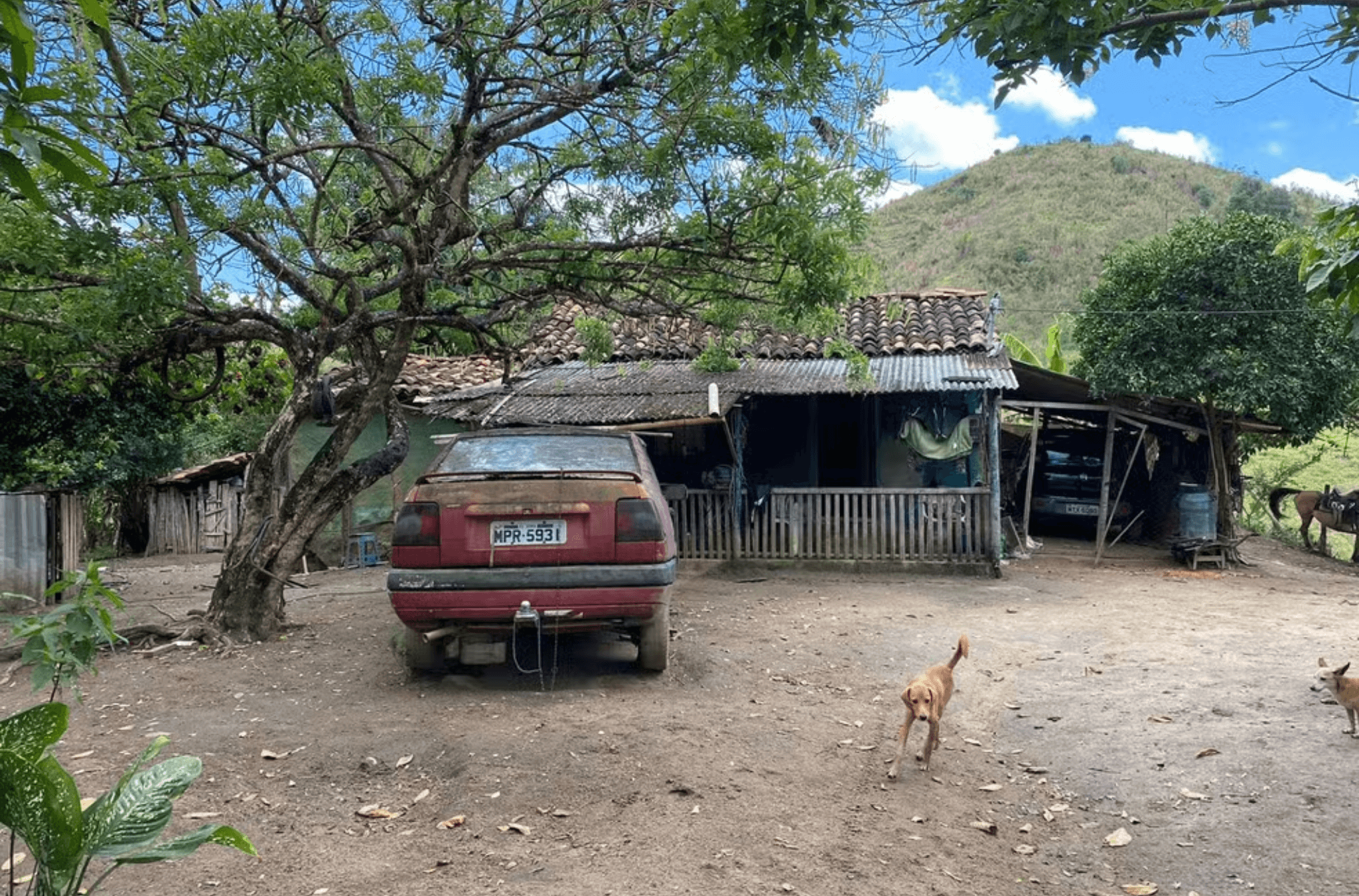 Tio mantém sobrinha em cativeiro por 10 anos