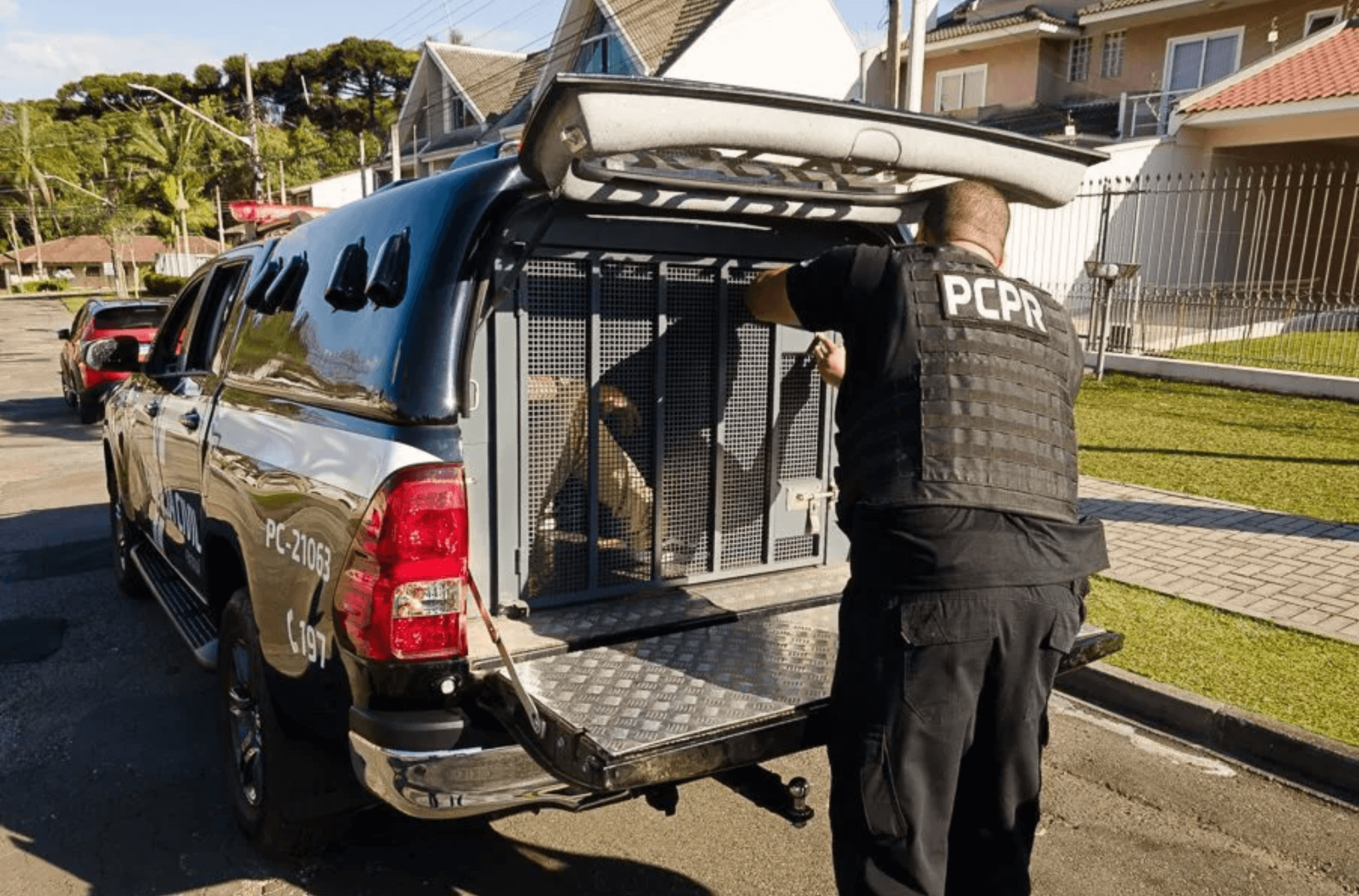 Técnico de UPA é preso por abusar de pacientes sedados